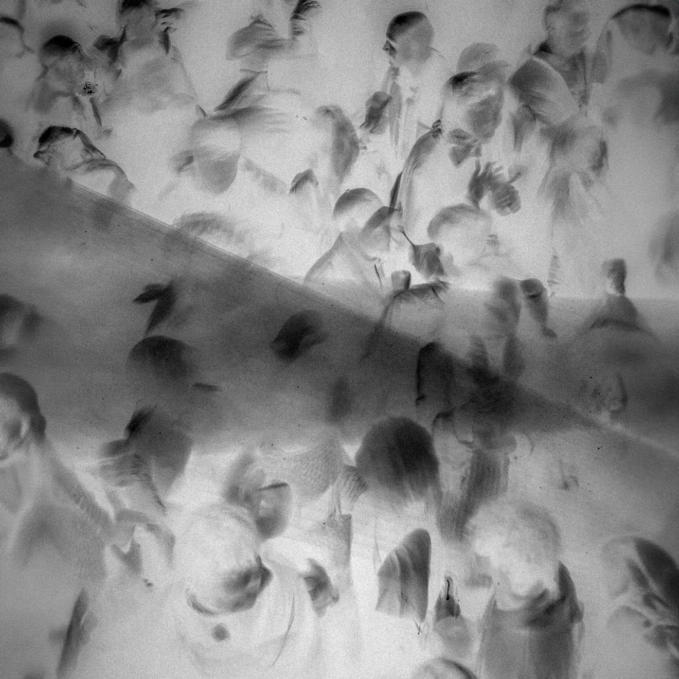 Untitled_4.3.1 copie