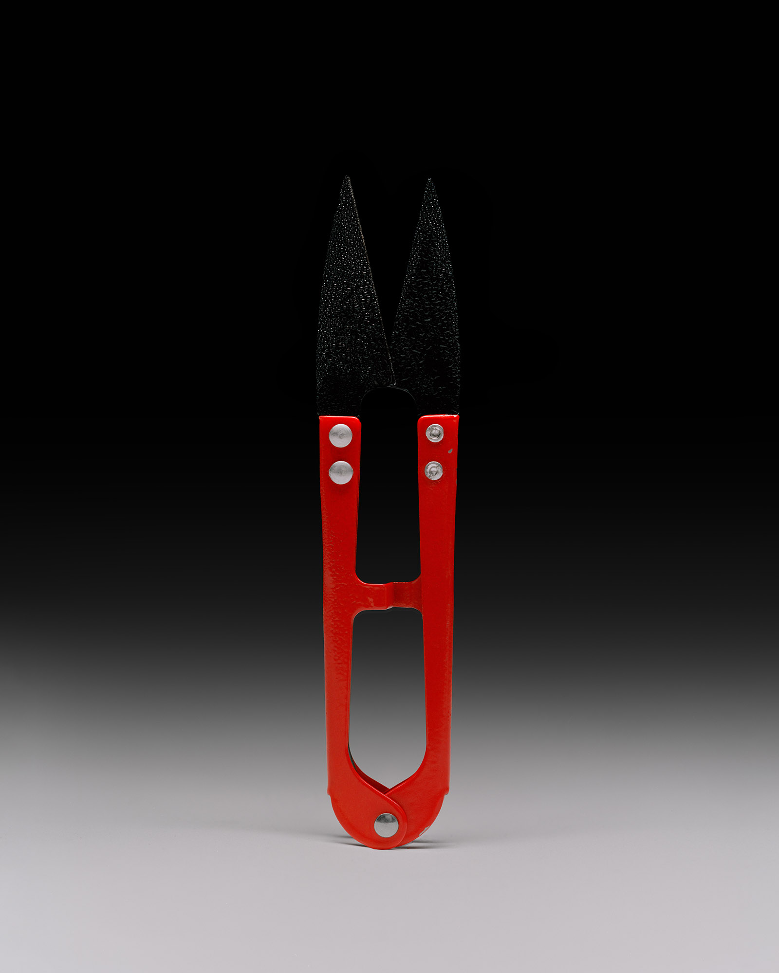 scissor copy